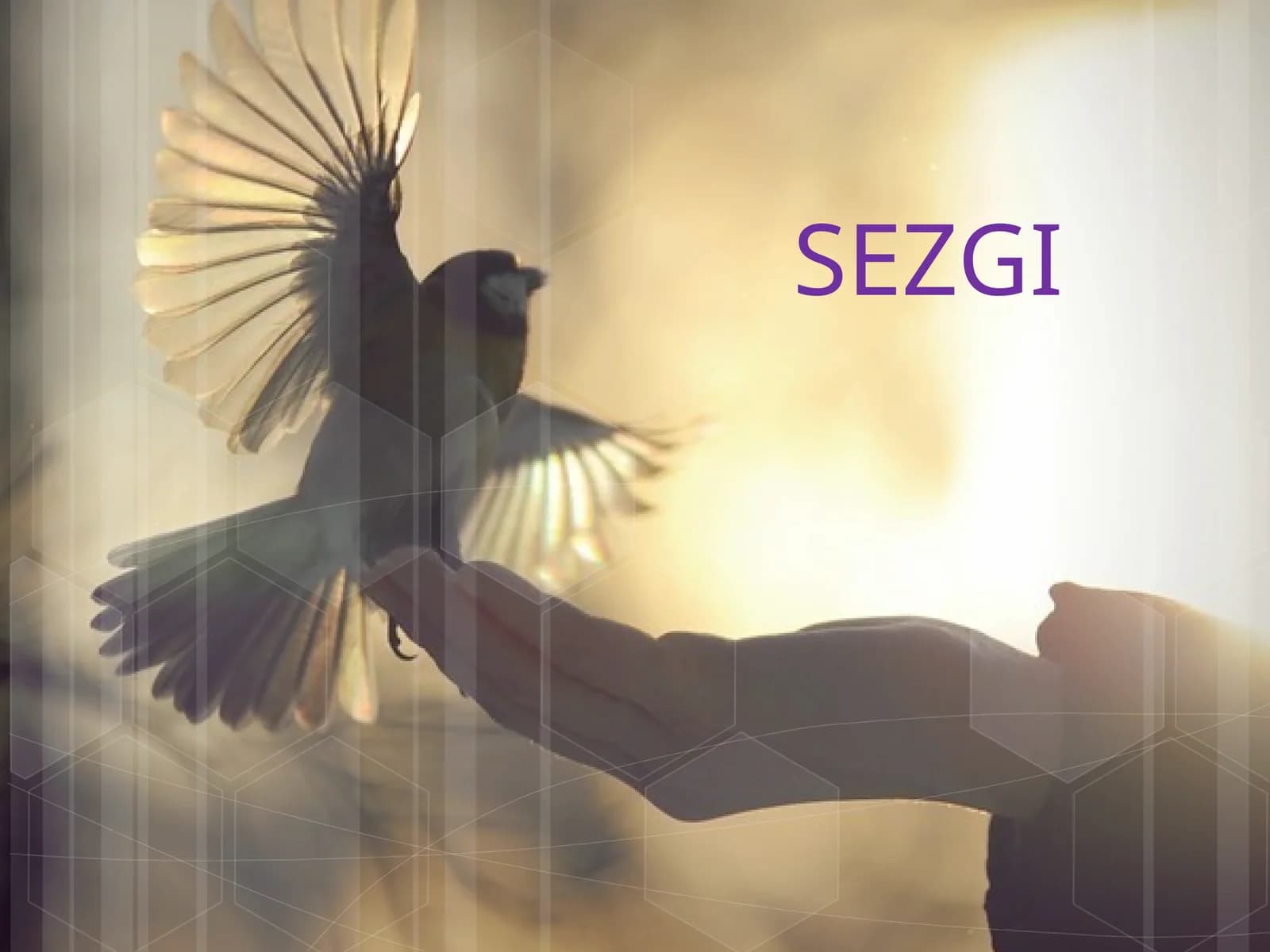 SEZGI