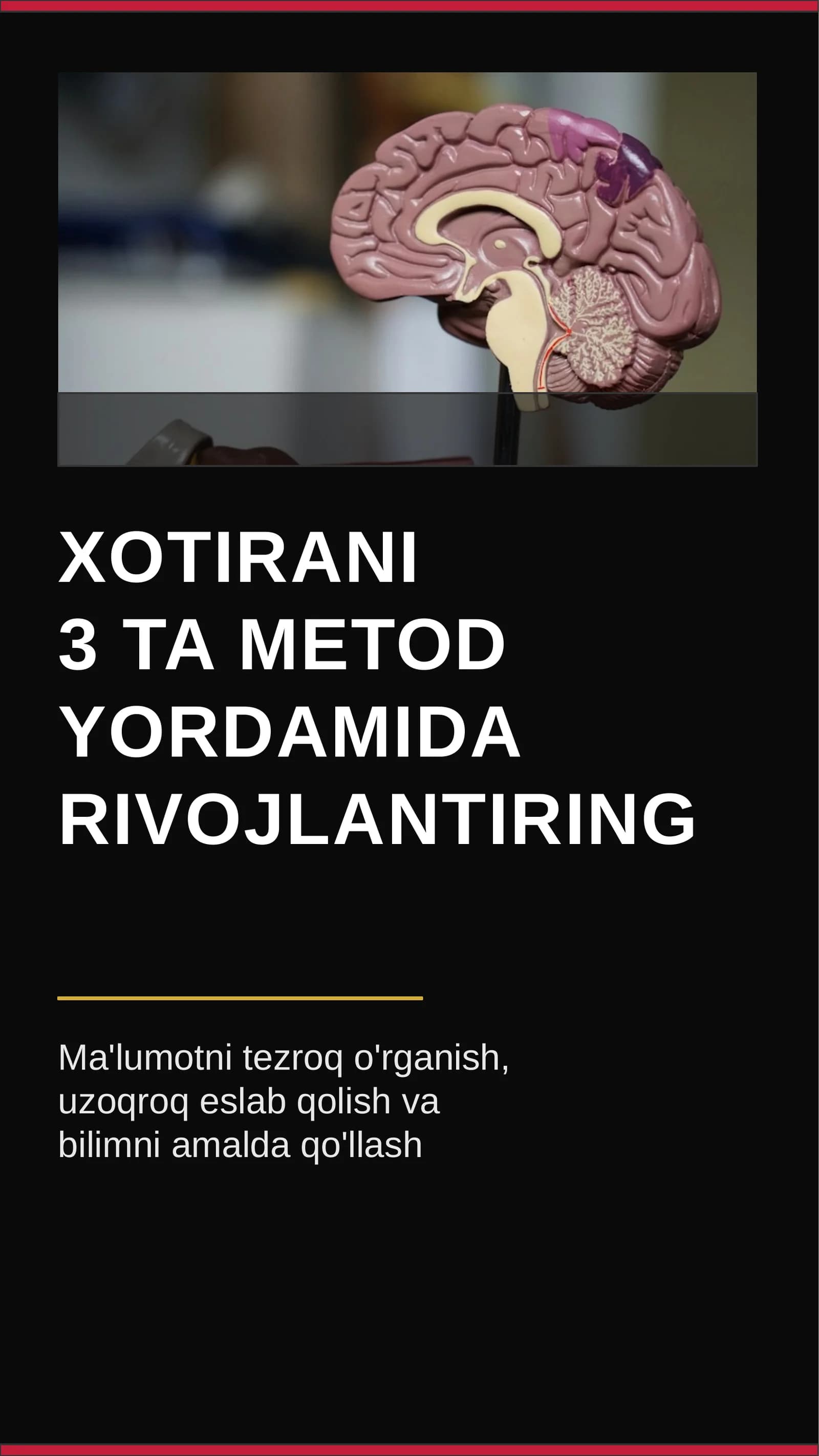 Xotirani 3 ta metod yordamida rivojlantiring