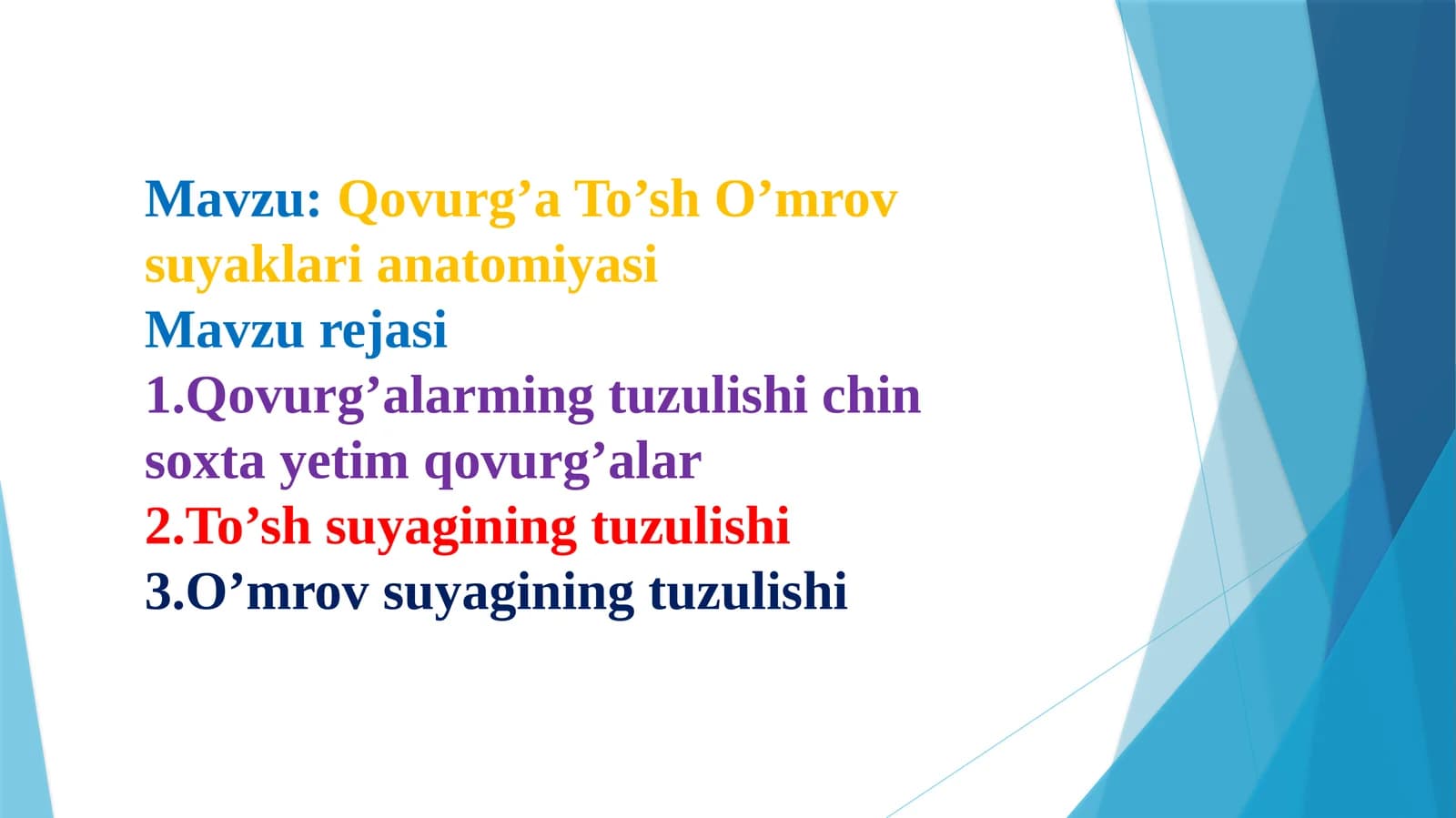 QOVURG'A TO'SH O'MROV ANATOMIYASI PREZENTATSIYA