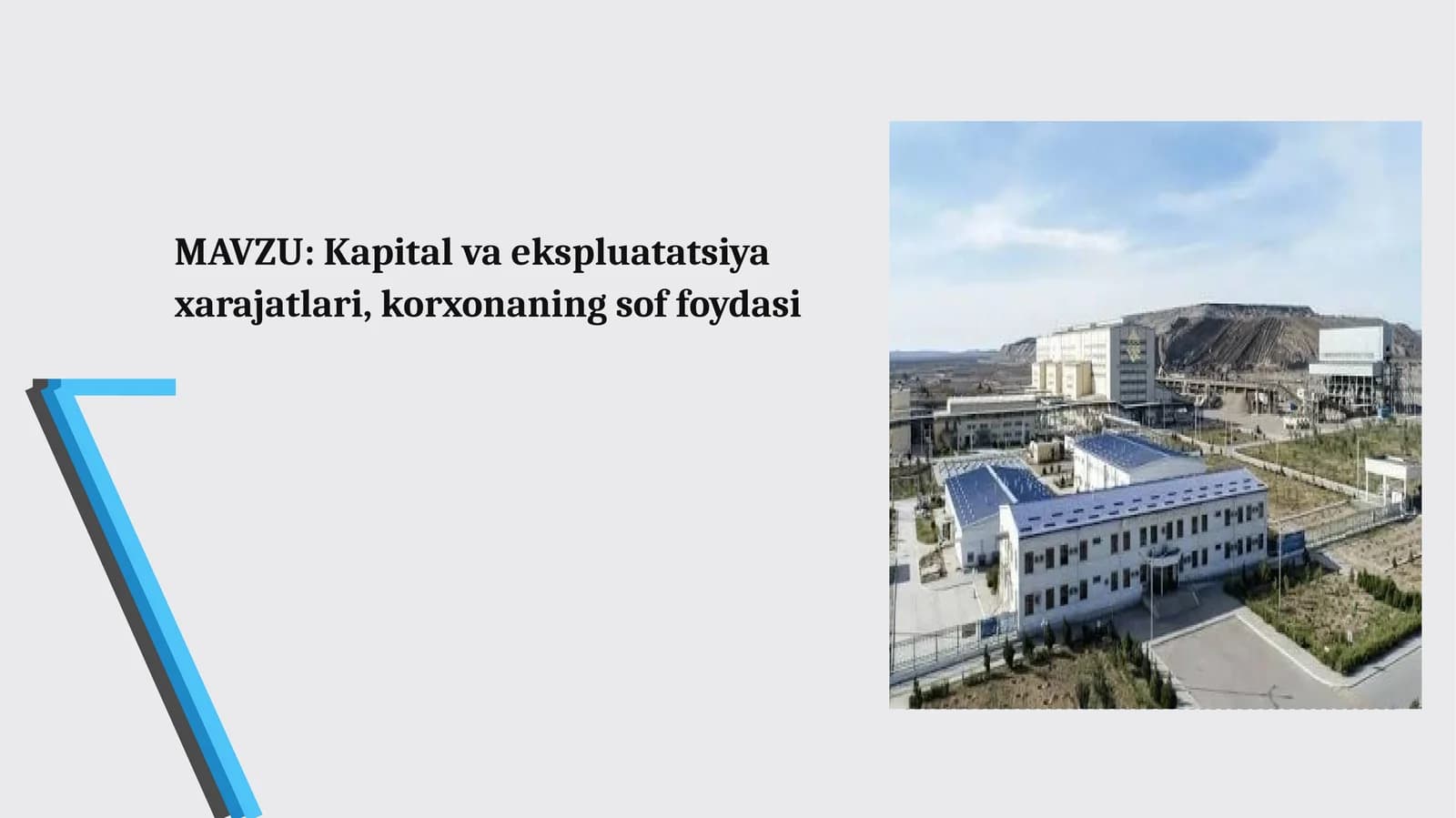 Kapital va ekspluatatsiya xarajatlari, korxonaning sof foydasi