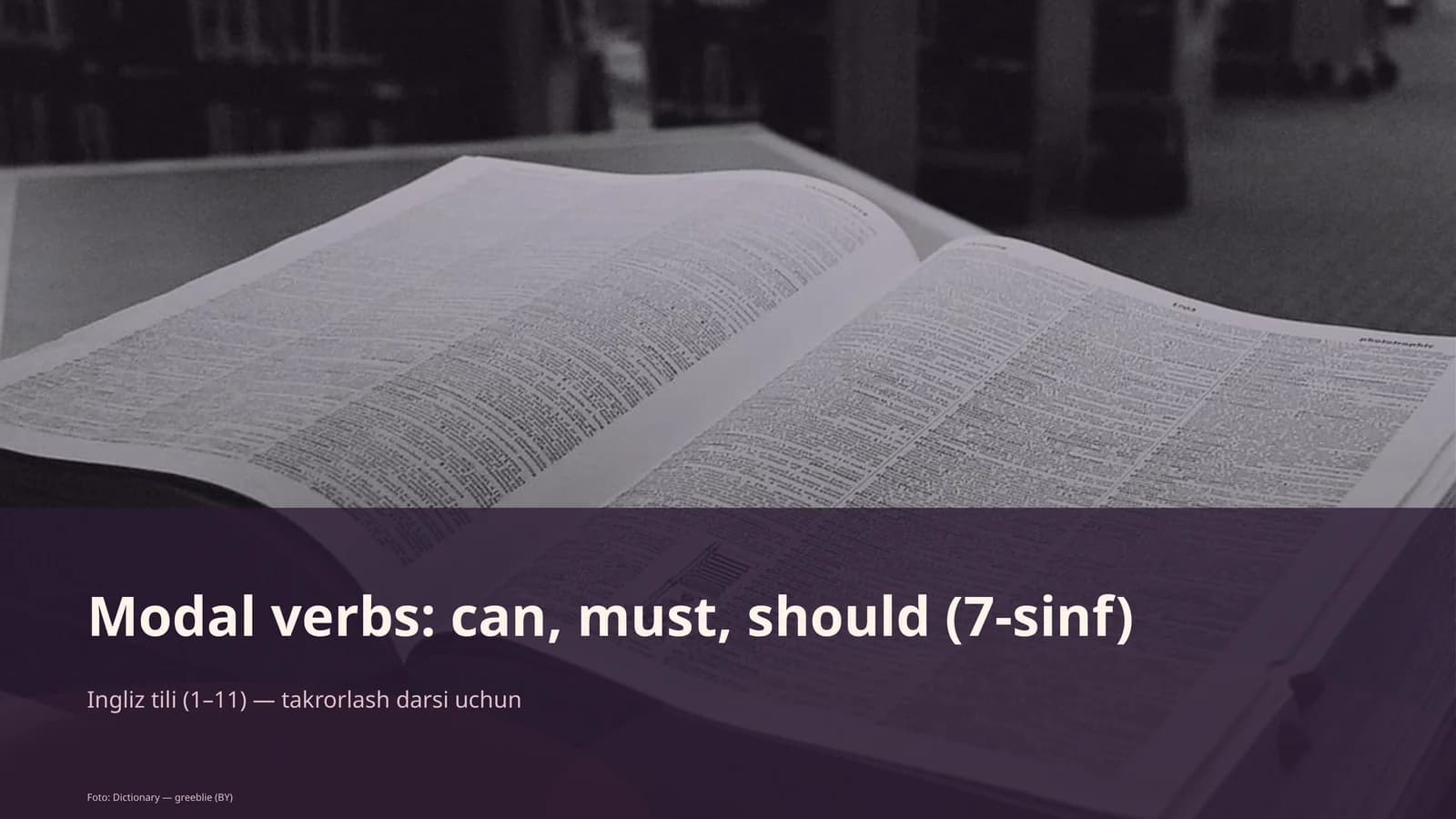 Modal verbs: can, must, should (7-sinf)