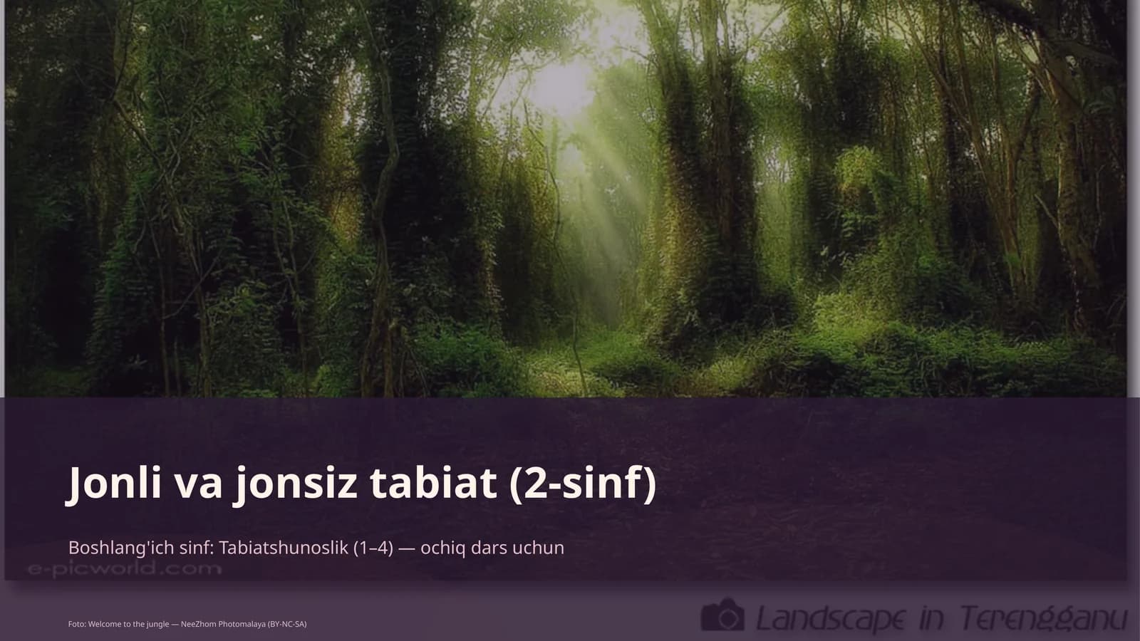 Jonli va jonsiz tabiat (2-sinf)
