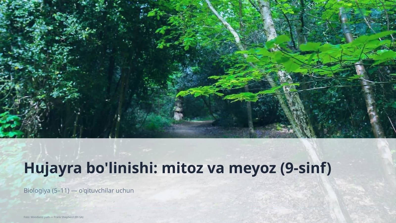 Hujayra bo'linishi: mitoz va meyoz (9-sinf)