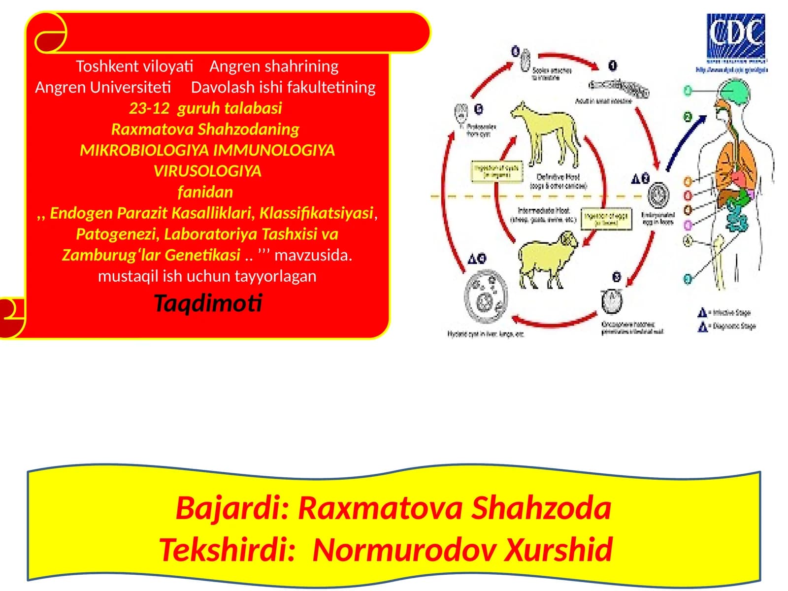Davolashishifakulteti 23-12 guruh talabasi