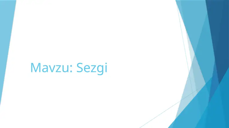 Sezgi