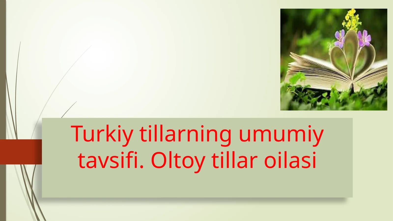 Turkiy tillarning umumiy tavsifi. Oltoy tillar oilasi