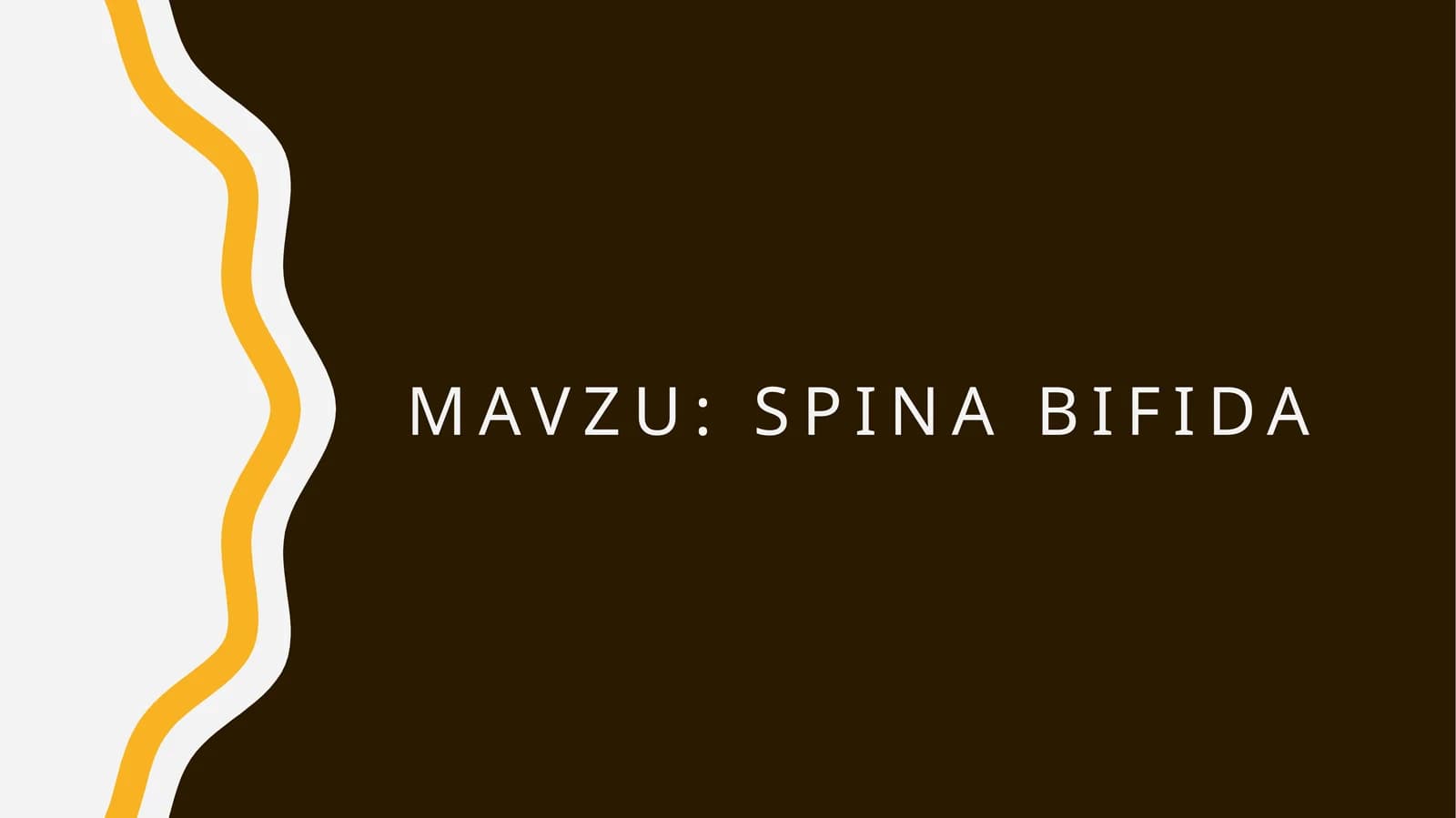 Spina bifida