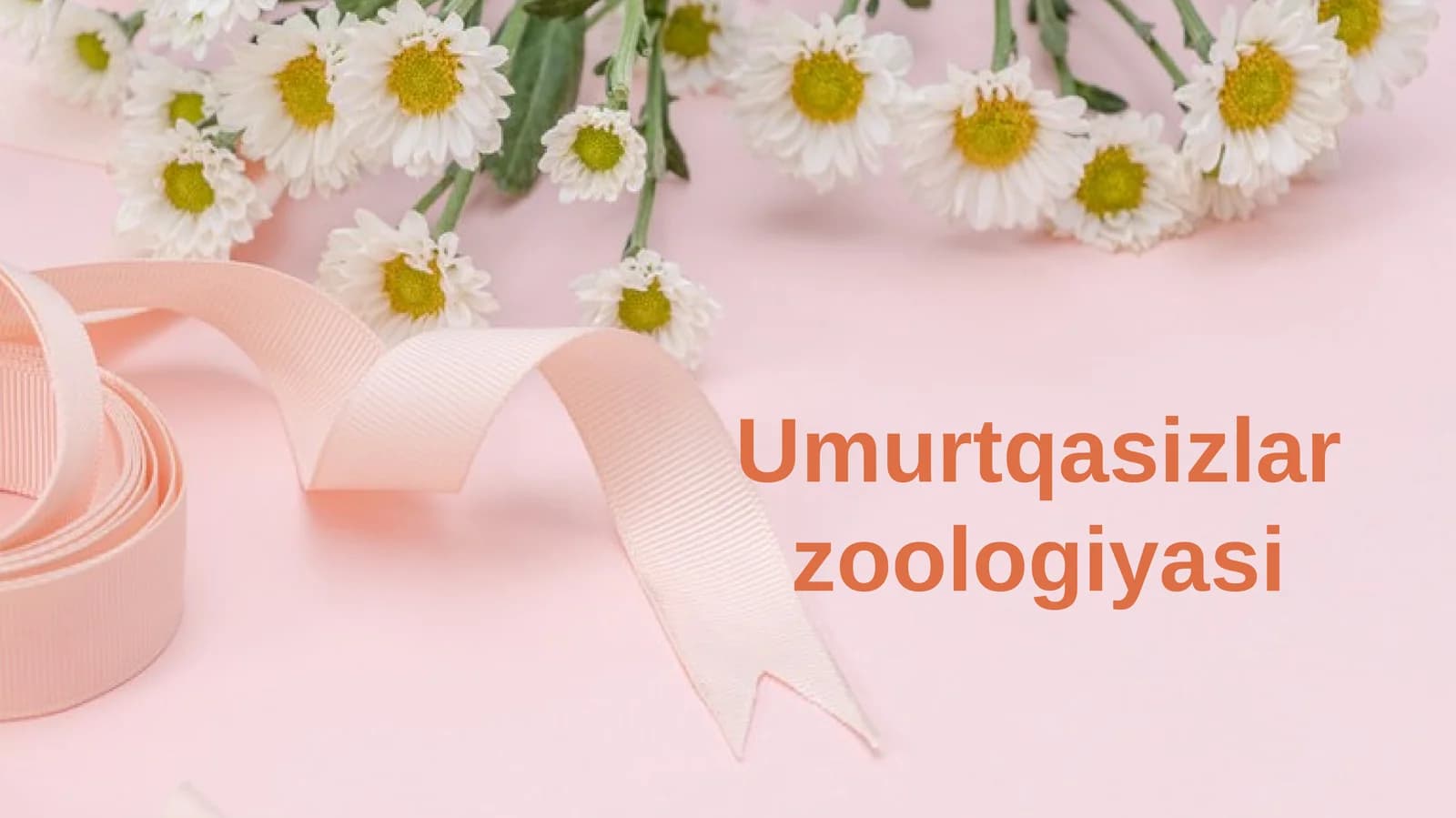 Umurtqasizlarzoologiyasi