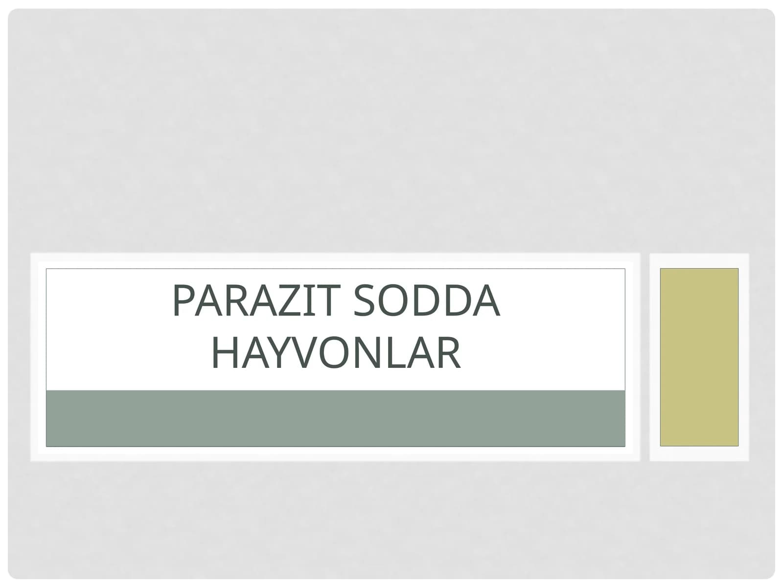 Parazit sodda hayvonlar