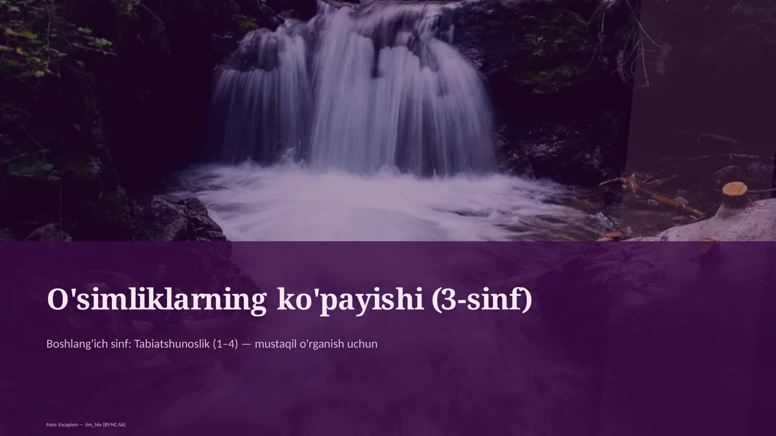 O'simliklarning ko'payishi (3-sinf)