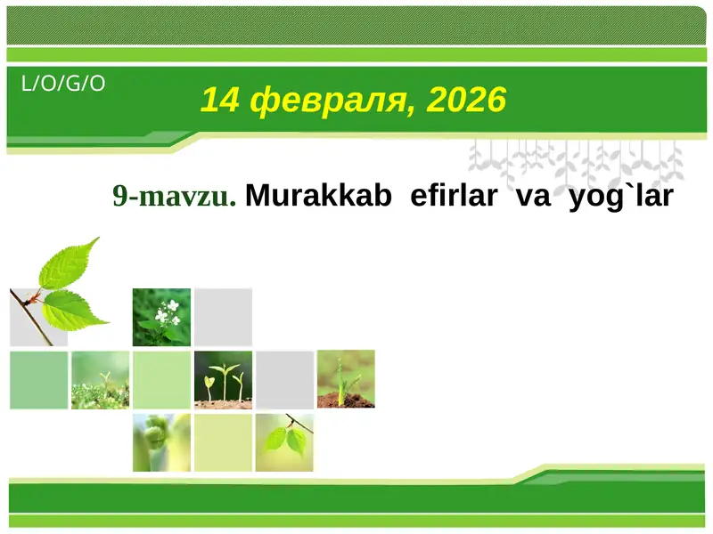 Murakkab efirlar va yog`lar