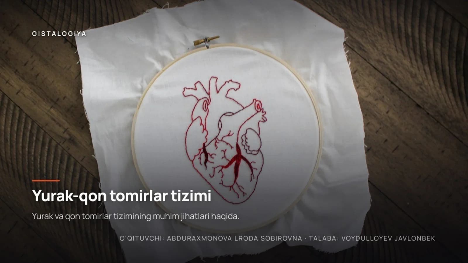 Yurak-qon tomirlar tizimi