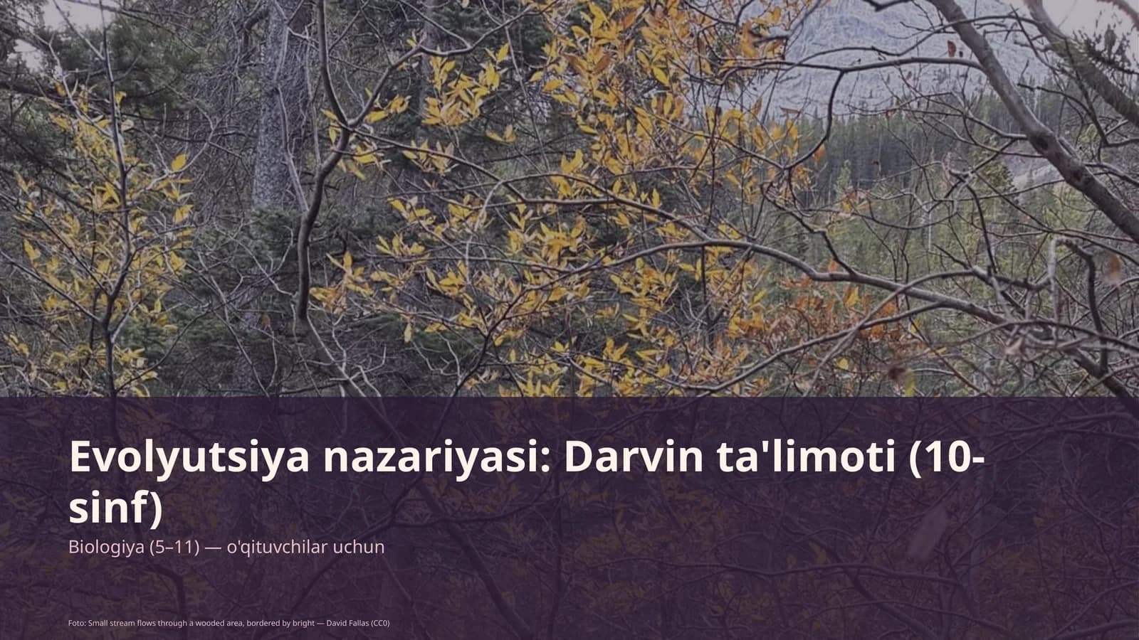 Evolyutsiya nazariyasi: Darvin ta'limoti (10-sinf)
