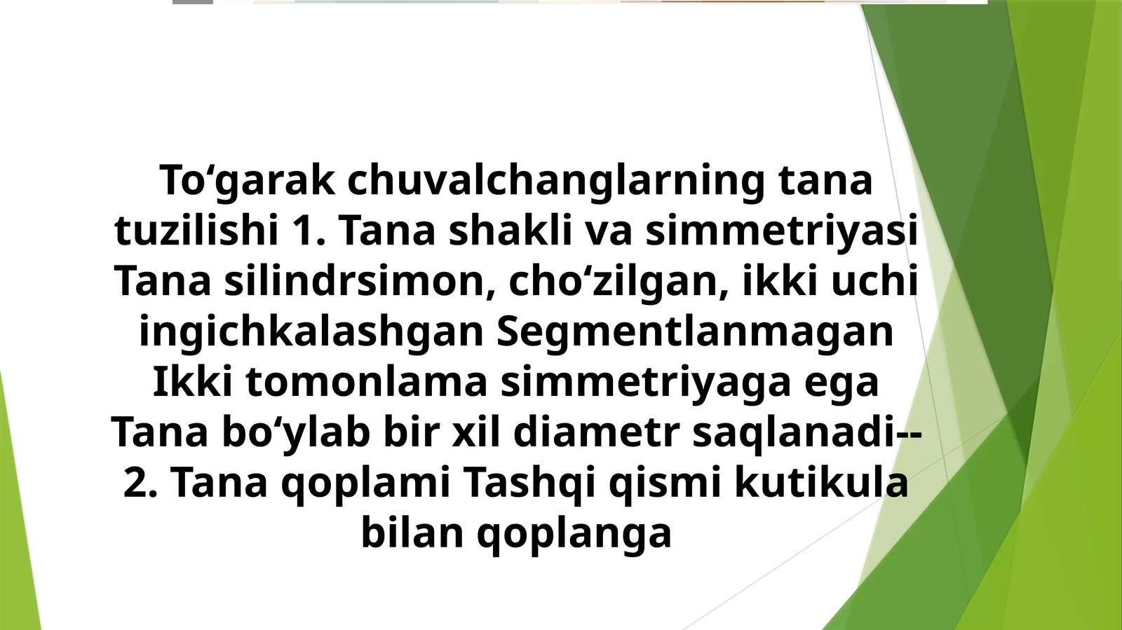 To‘garak chuvalchanglarning tana tuzilishi