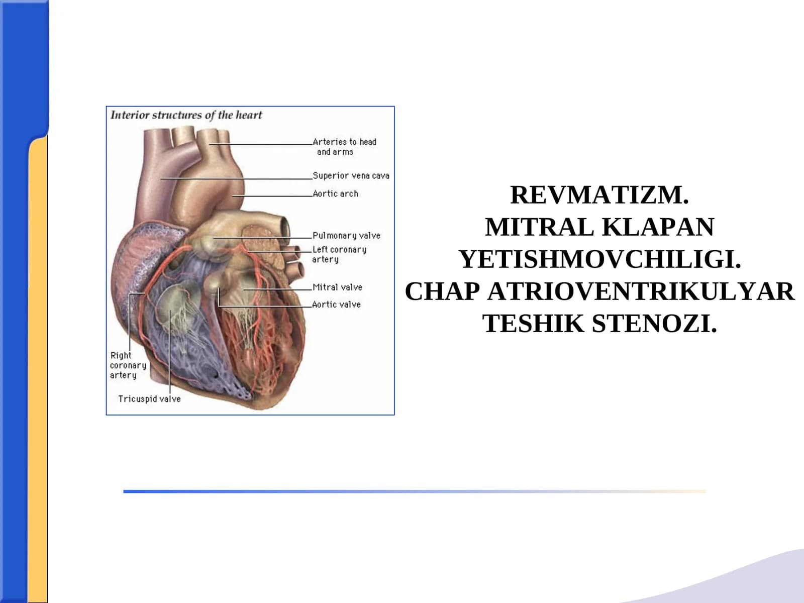 REVMATIZM.MITRAL KLAPAN YETISHMOVCHILIGI.CHAP ATRIOVENTRIKULYAR TESHIK STENOZІ