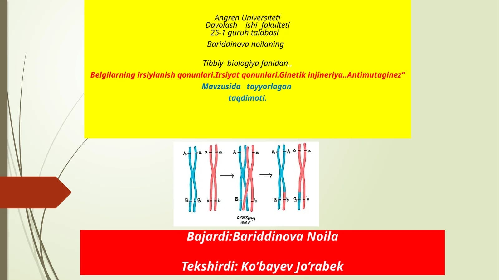 Irsiyat qonunlari