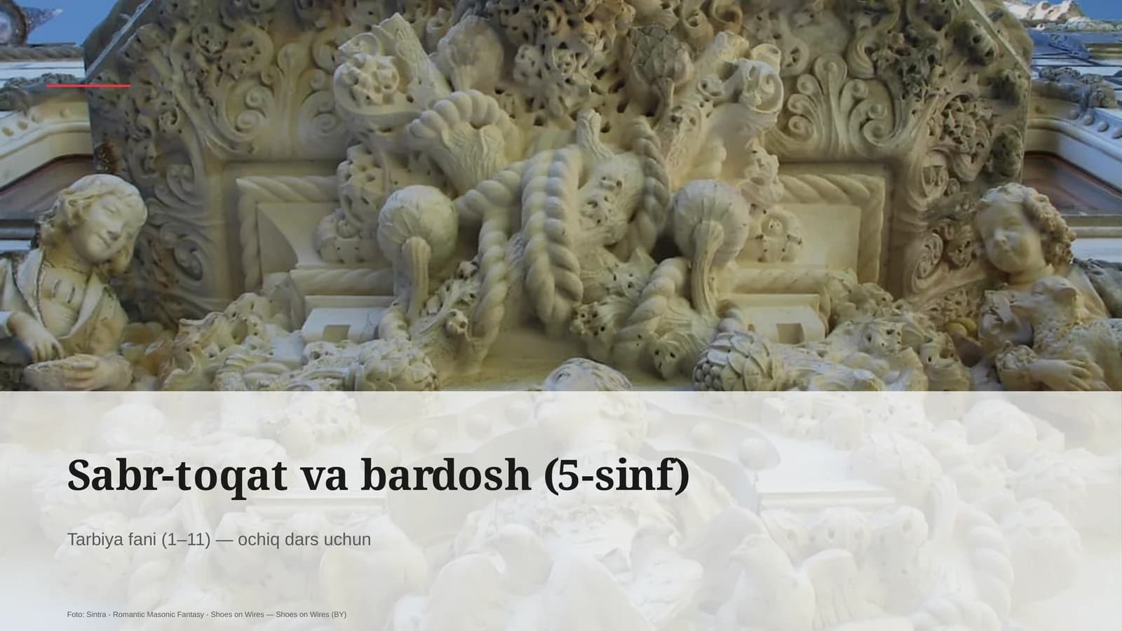 Sabr-toqat va bardosh (5-sinf)