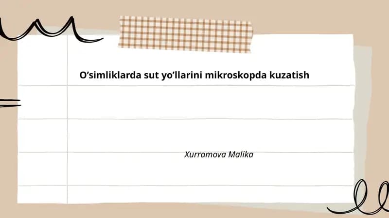 Sut yo’llari morfologiyasi