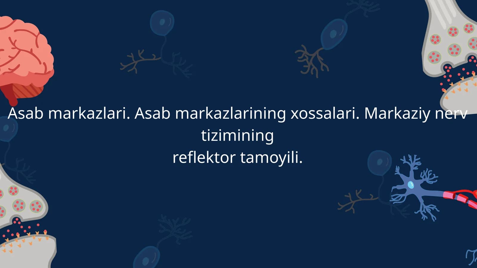 Asab markazlari. Asab markazlarining xossalari. Markaziy nerv tizimining
reflektor tamoyili.