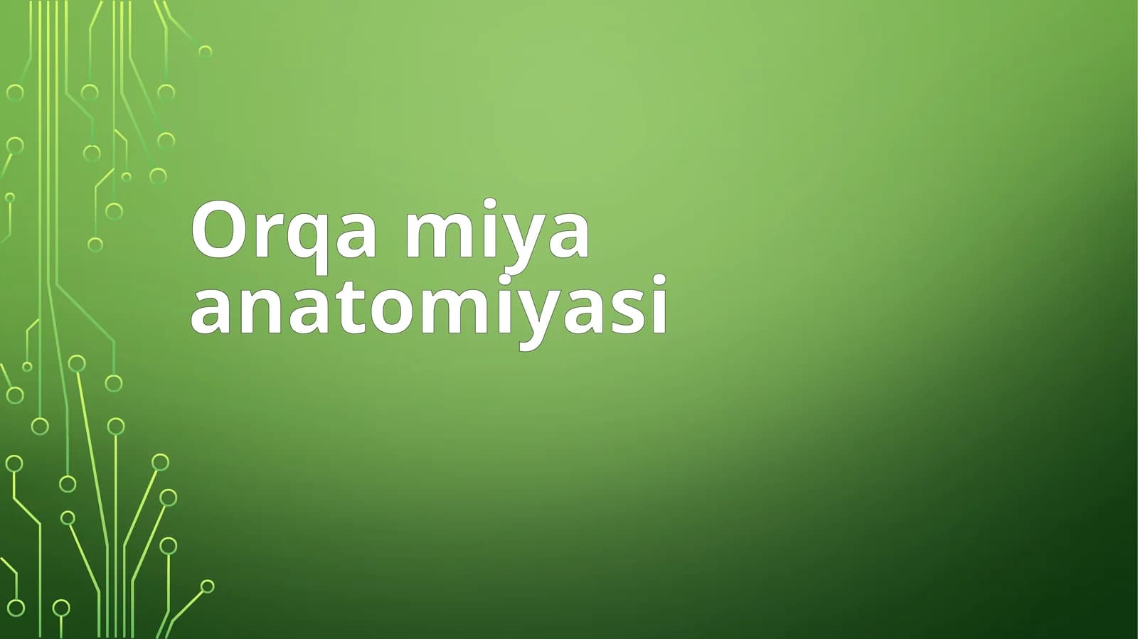 Orqamiyaanatomiyasi