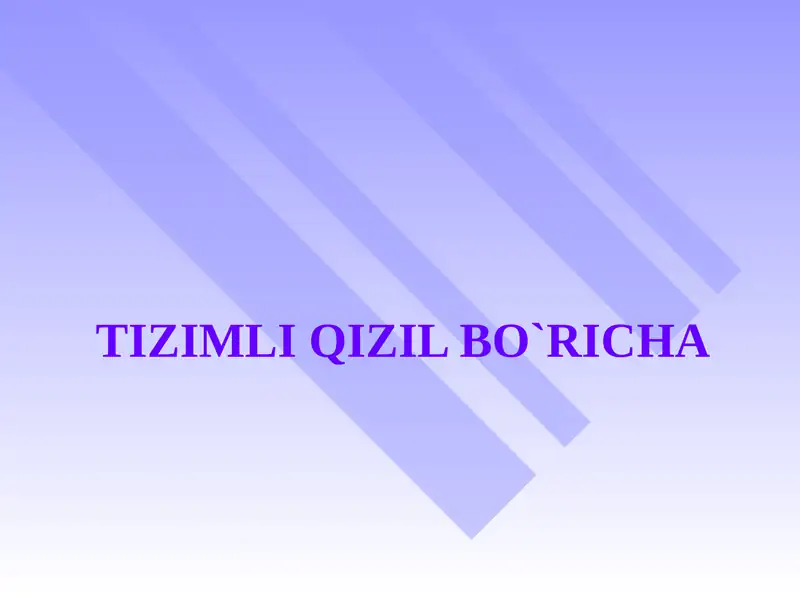 TIZIMLI QIZIL BO`RICHA