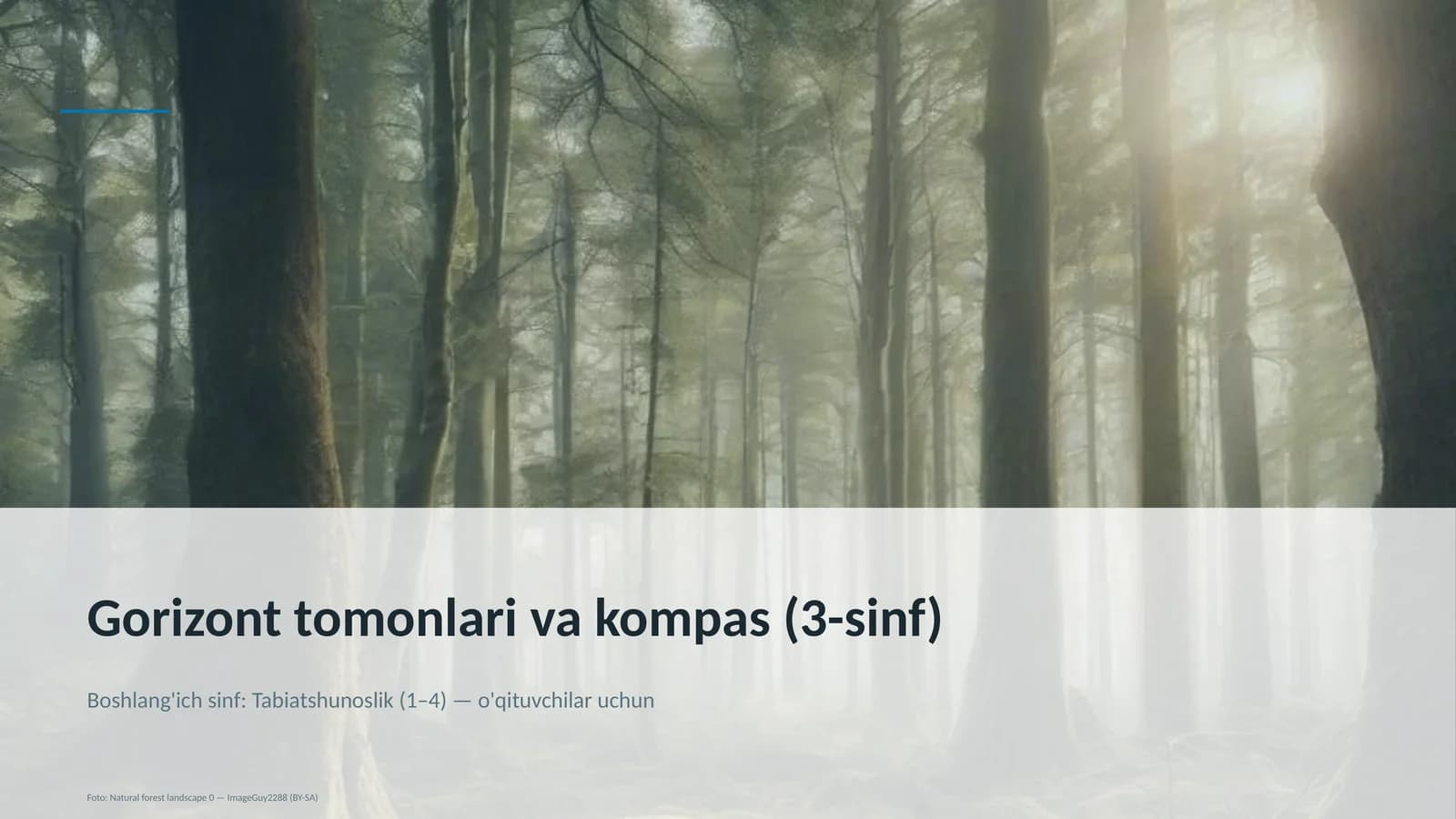 Gorizont tomonlari va kompas (3-sinf)