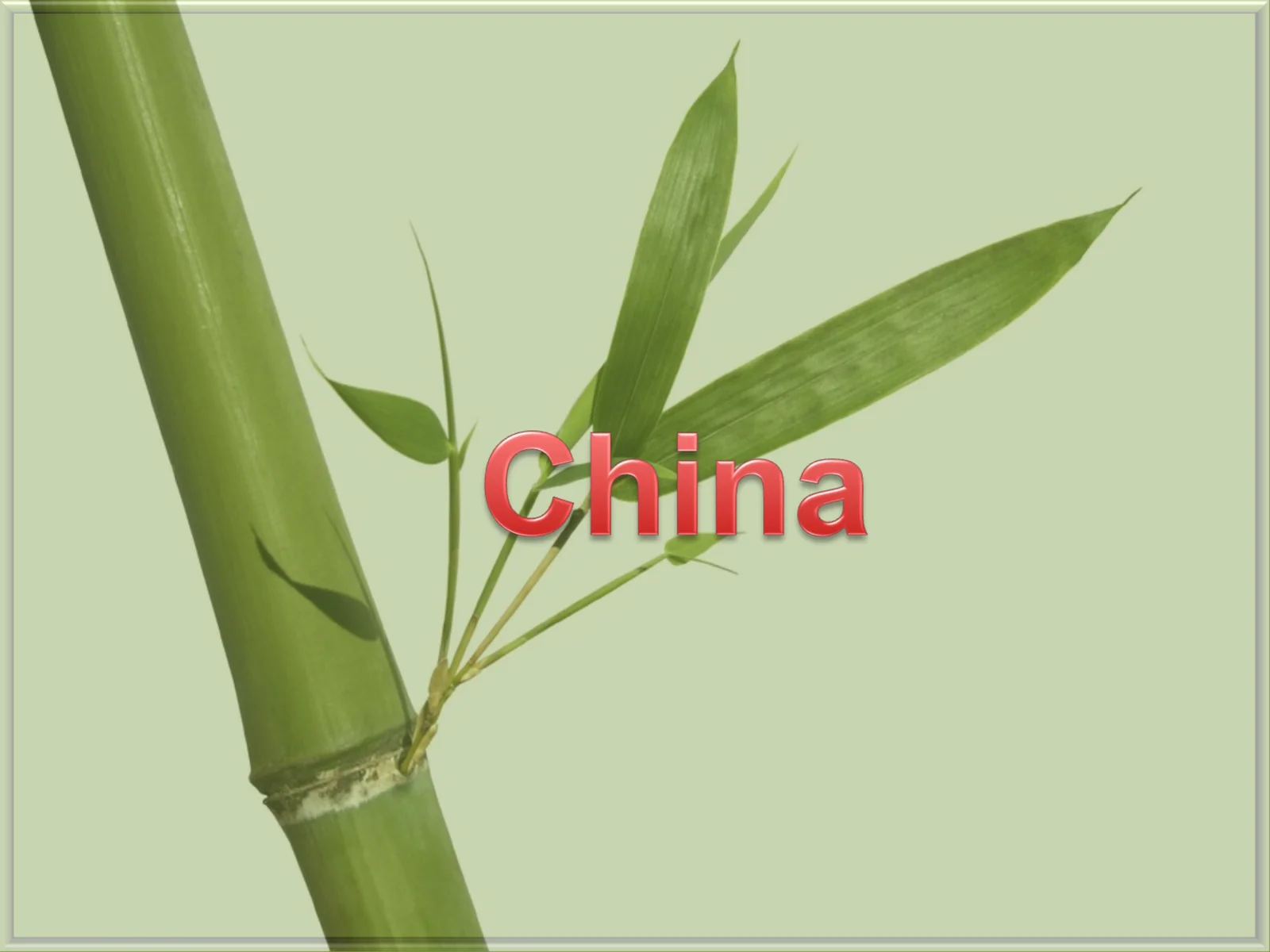 Lesson on China