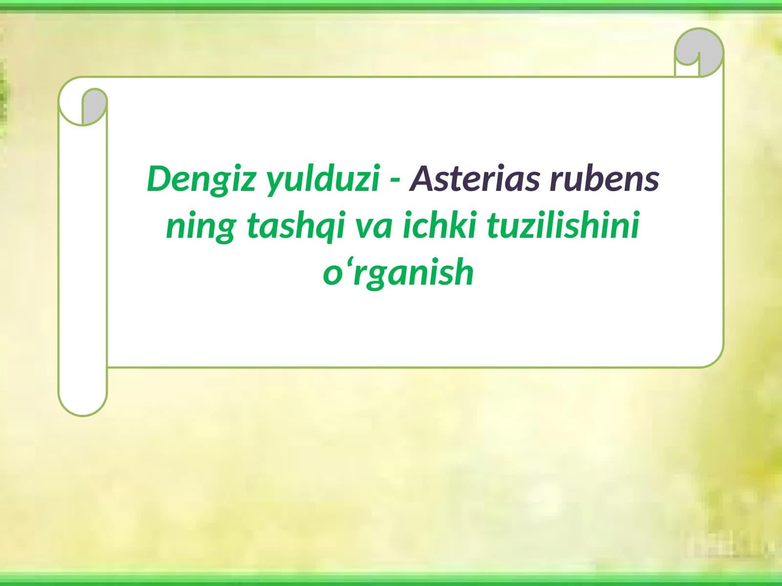 Dengizyulduzi-Asteriasrubensningtashqivaichkituzilishinio‘rganish