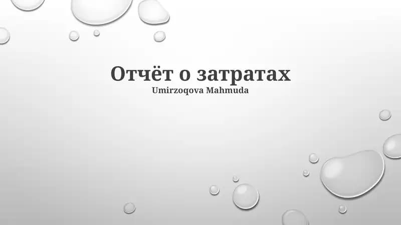 Отчёт о затратах