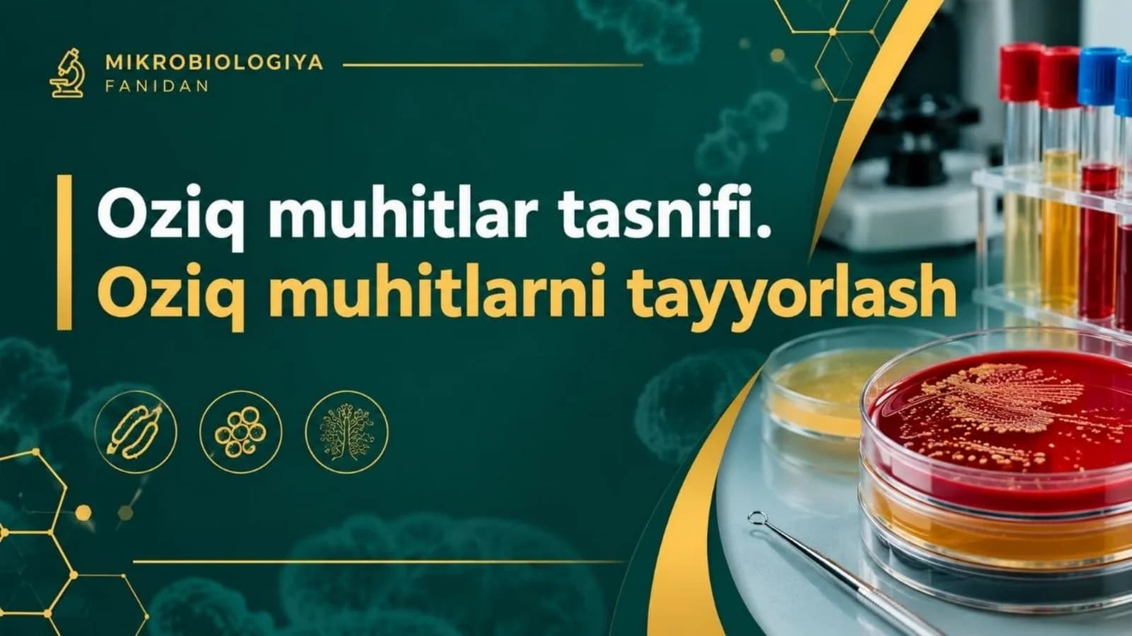 Oziq muhit va talablar