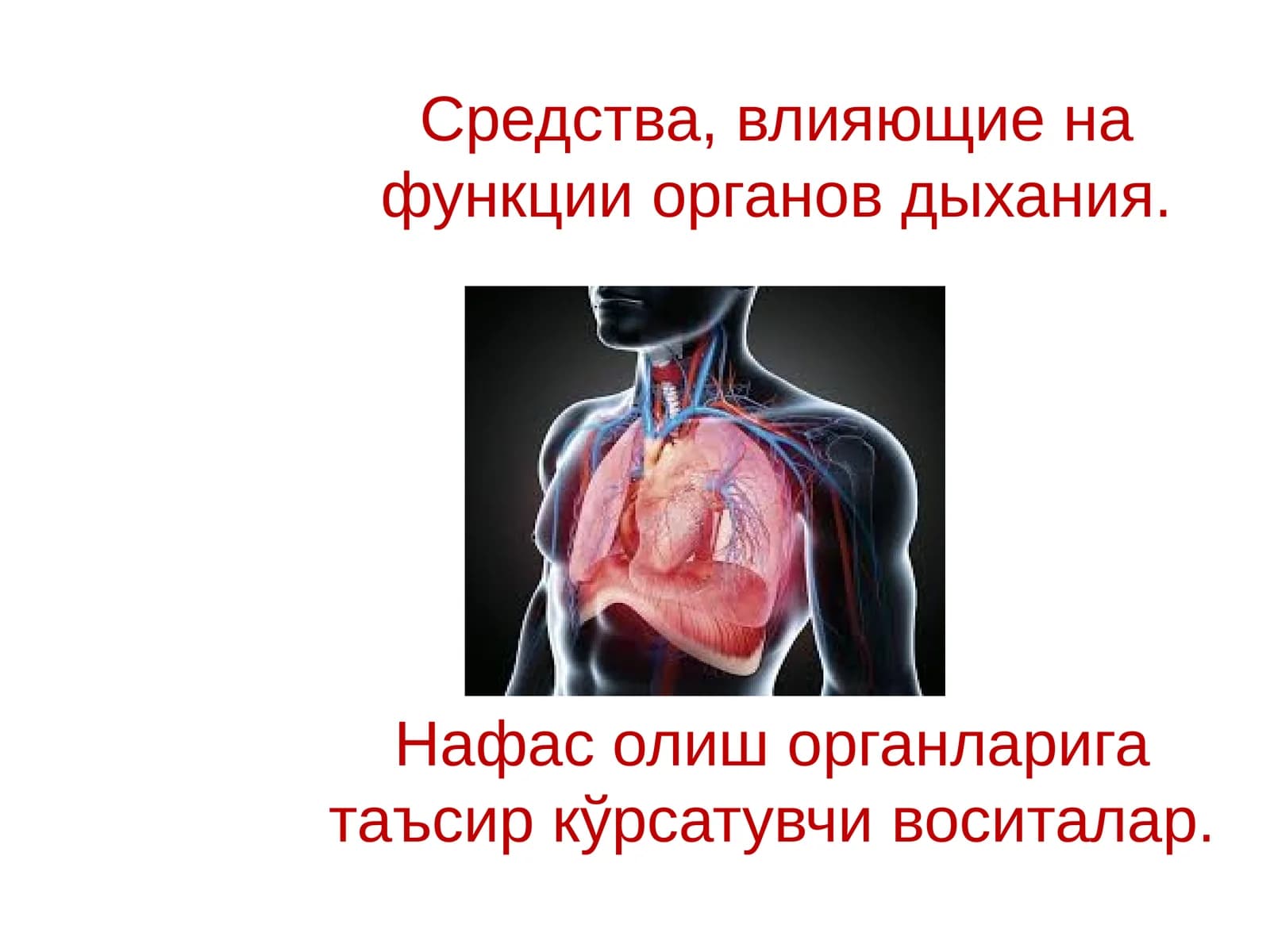 Средства, влияющие на функции органов дыхания