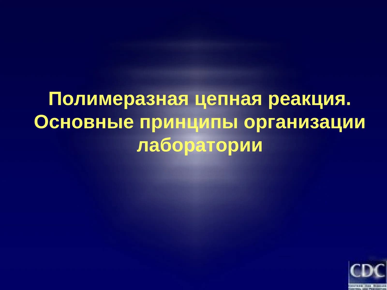 Полимеразная цепная реакция