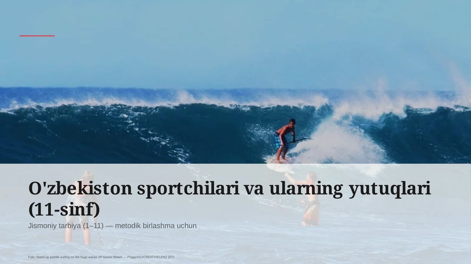 O'zbekiston sportchilari va ularning yutuqlari (11-sinf)