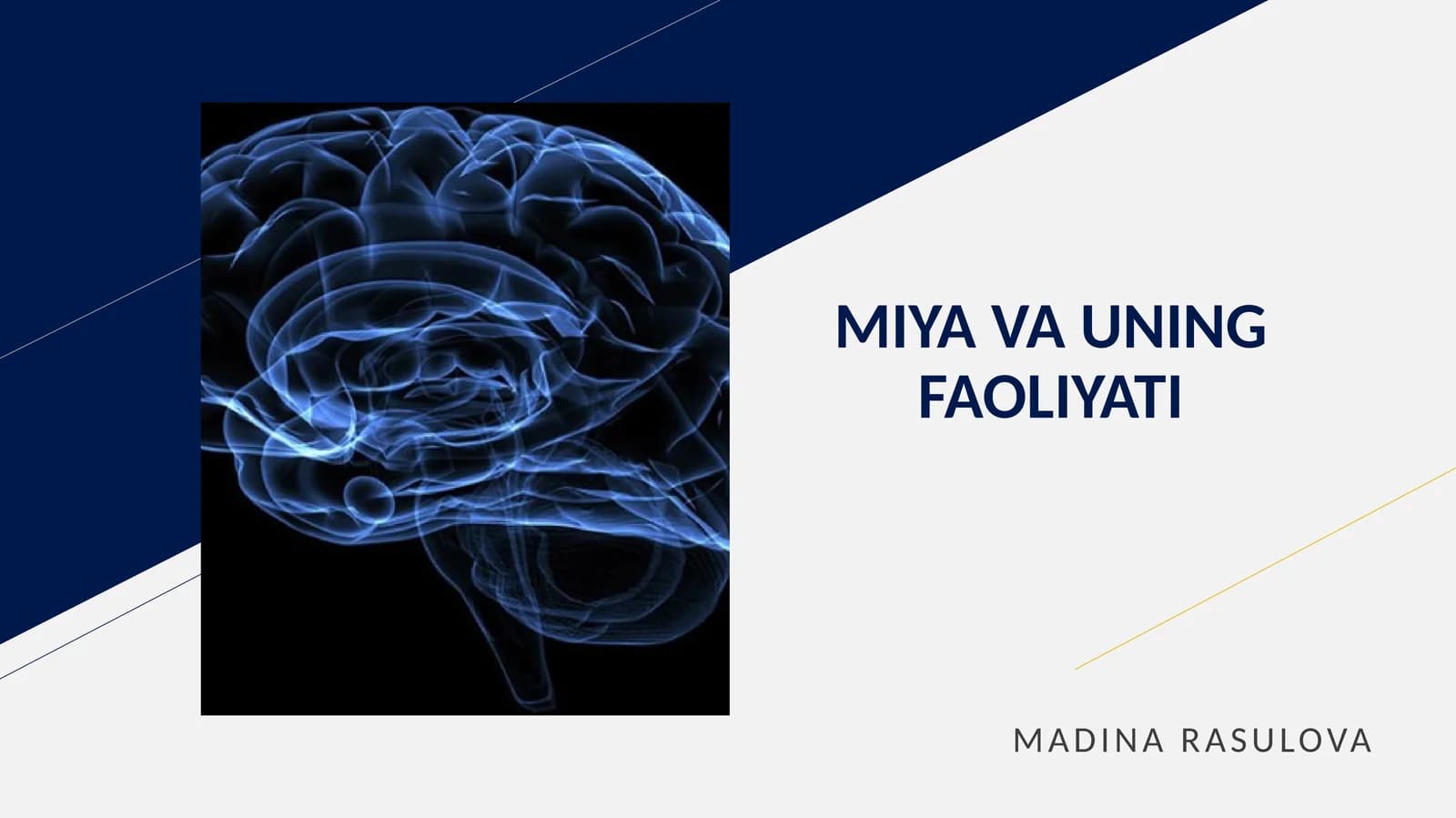 MIYA VA UNING FAOLIYATI