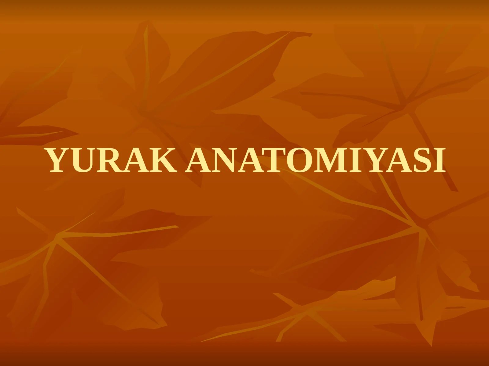 YURAK ANATOMIYASI