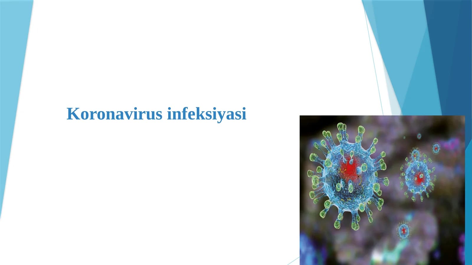 Koronavirusinfeksiyasi