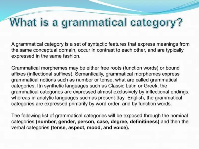 Grammatical Categories