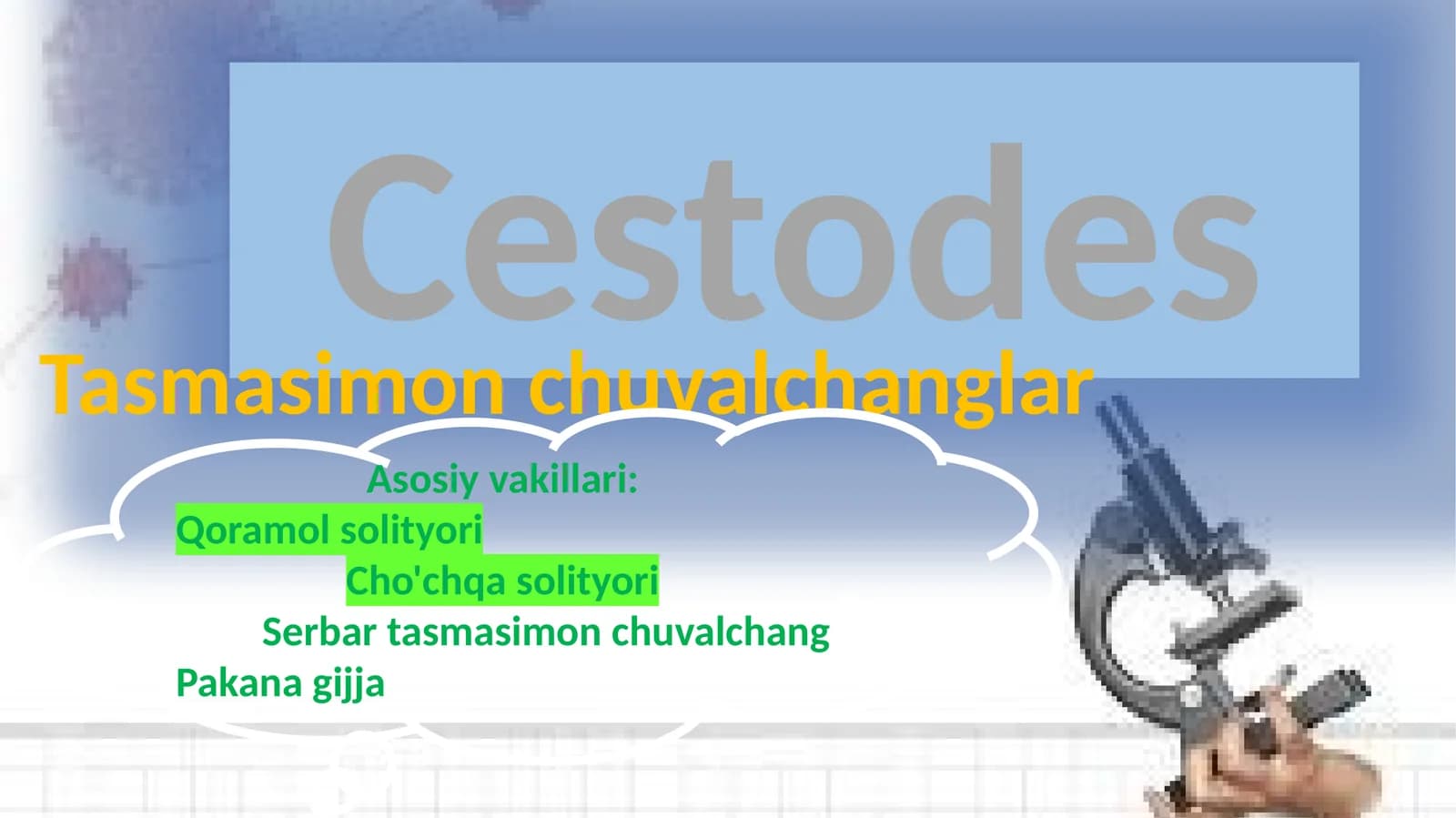 Tasmasimon chuvalchanglar