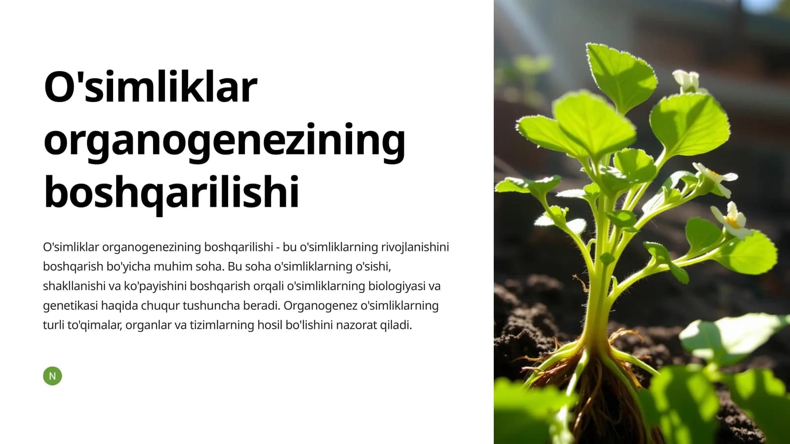 O'simliklarning organagezining boshqarilishi