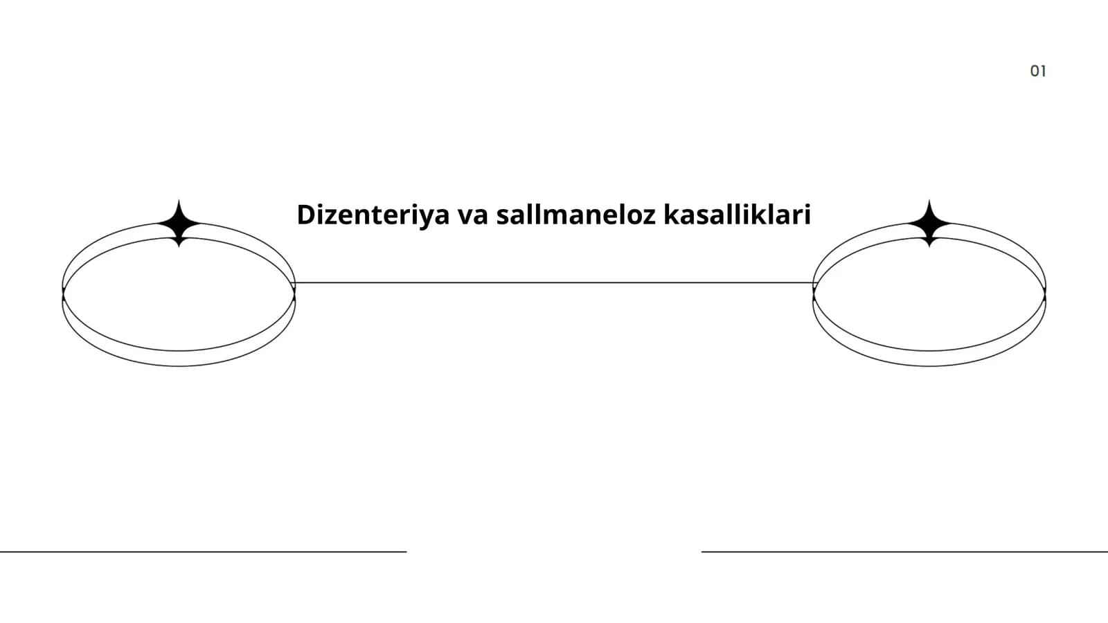 Dizenteriya va sallmaneloz kasalliklari
