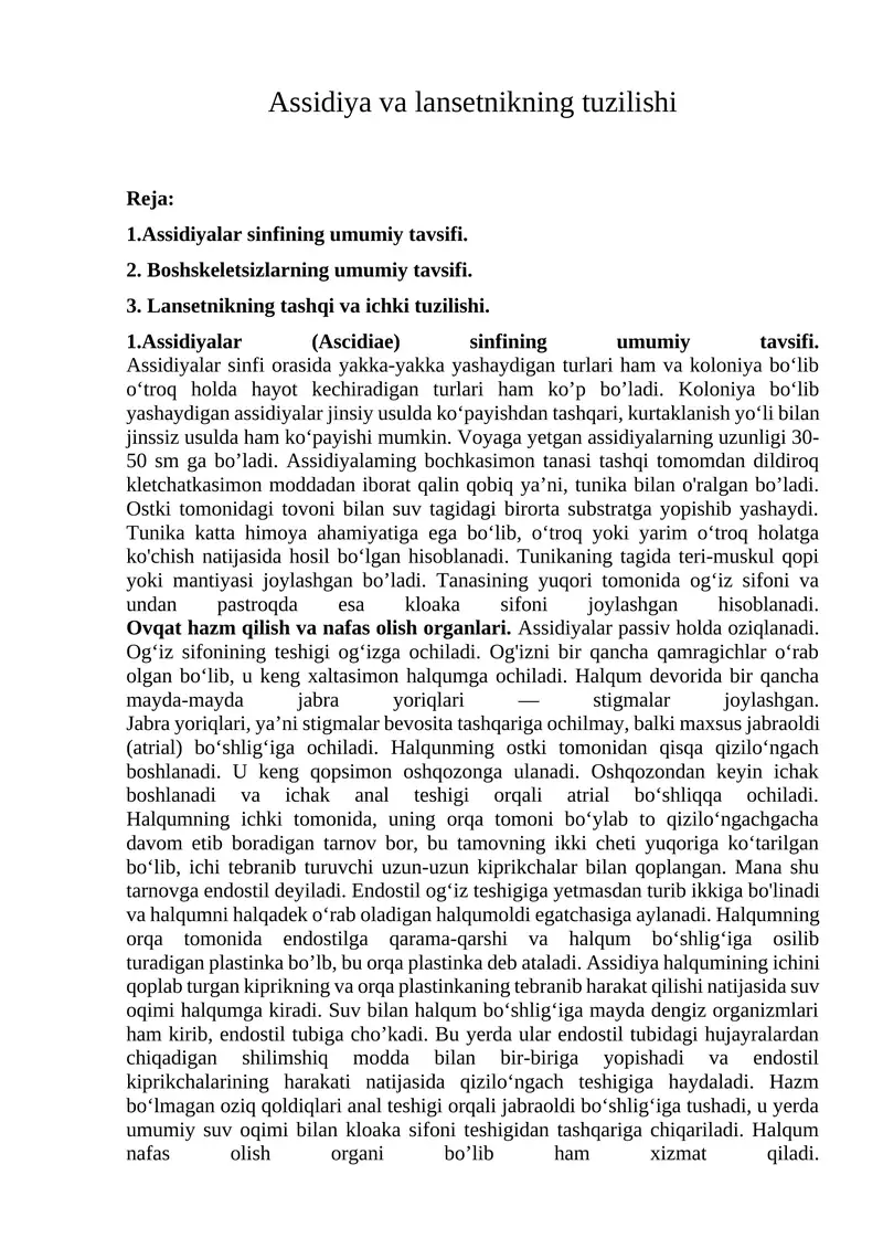 Assidiya va lansetnikning tuzilishi
