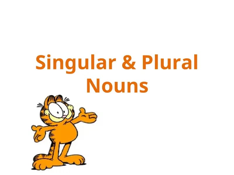 Singular & Plural Nouns