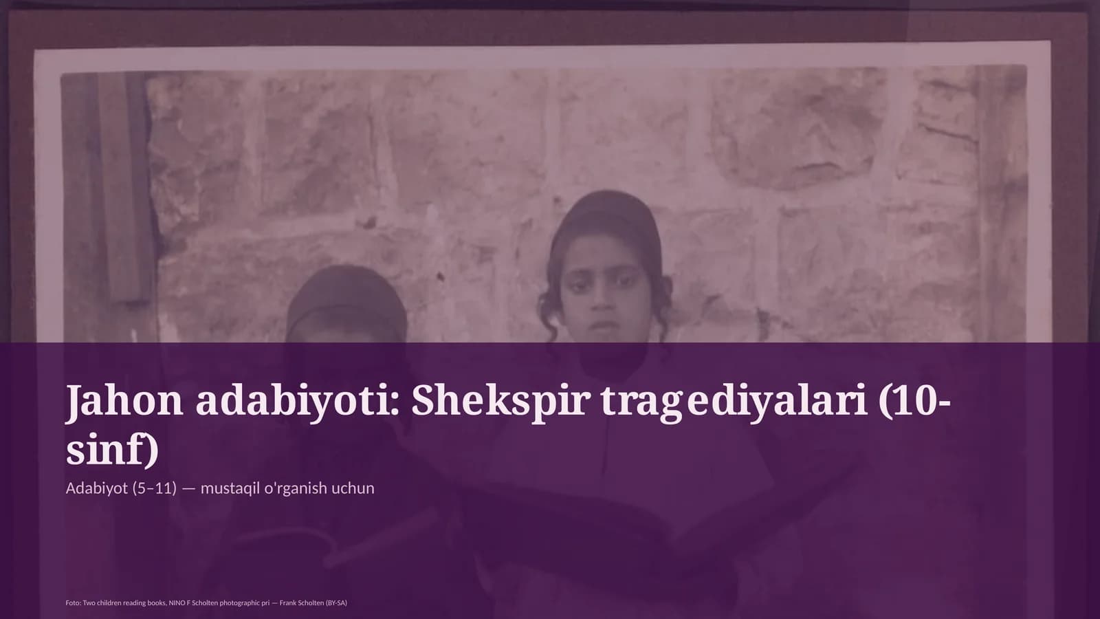 Jahon adabiyoti: Shekspir tragediyalari (10-sinf)