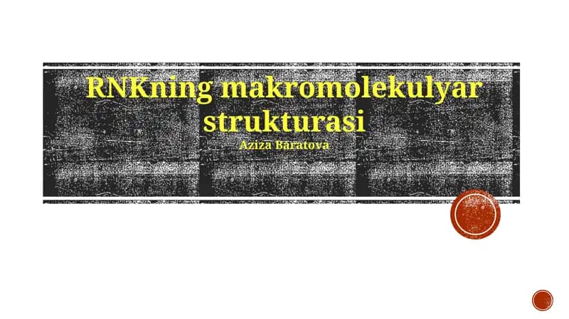 RNKning makromolekulyar strukturasi