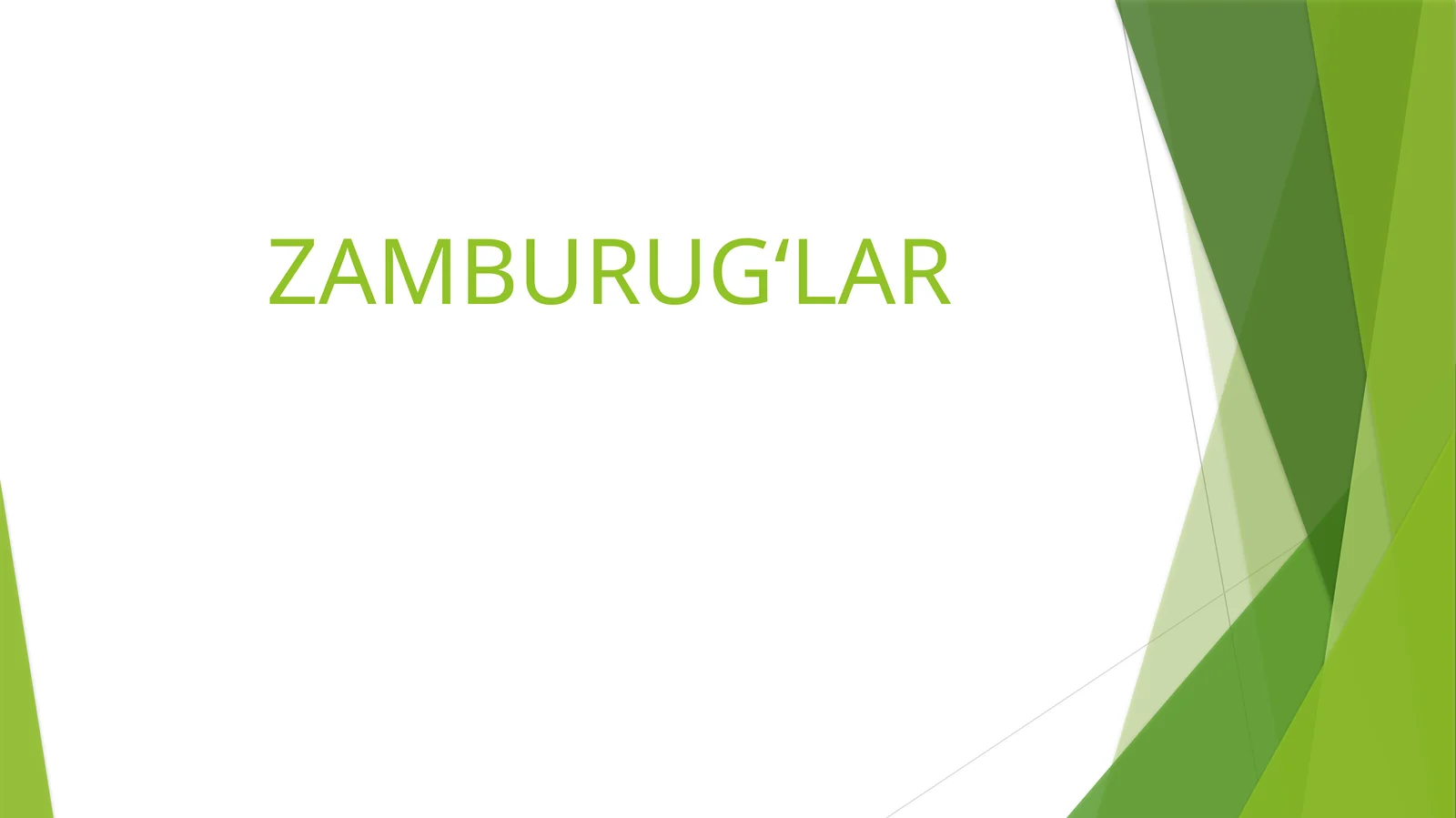 Zamburugʻlar