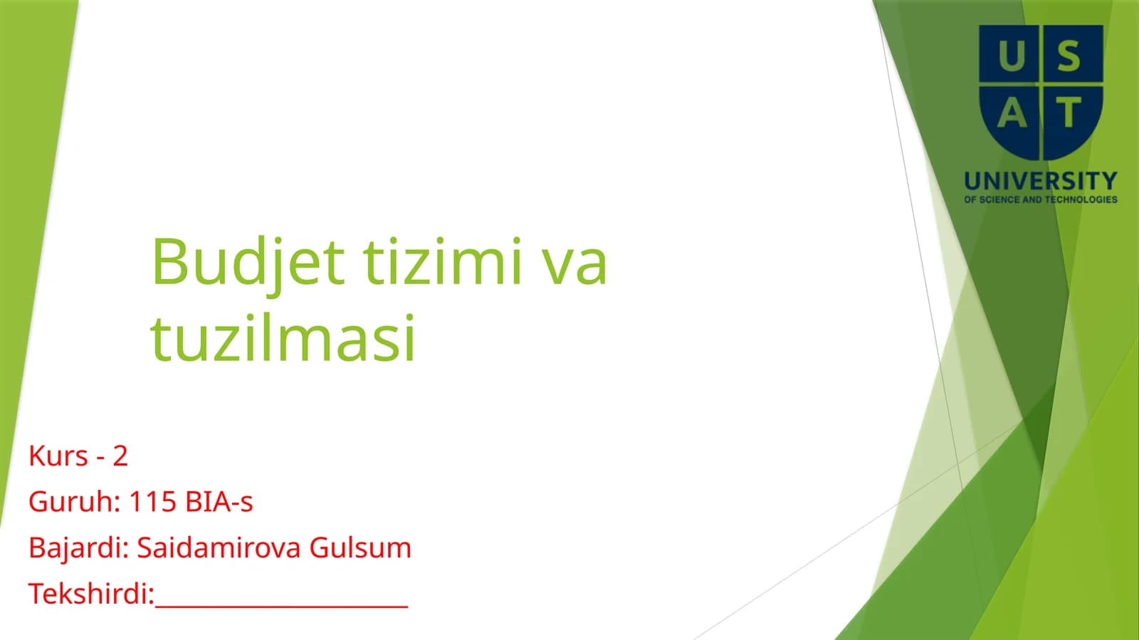 Budjettizimivatuzilmasi