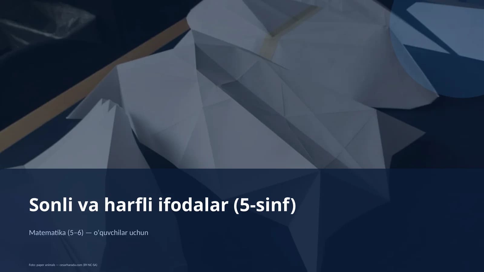 Sonli va harfli ifodalar (5-sinf)