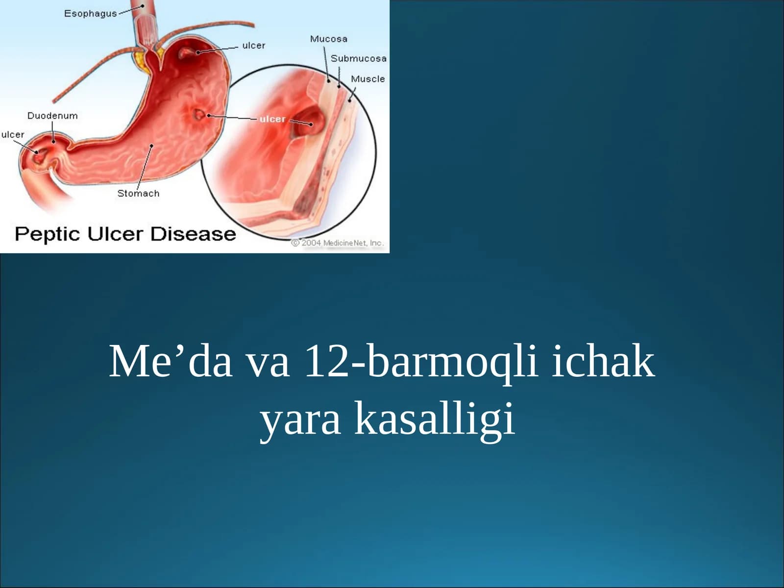 Me’dava12-barmoqliichak