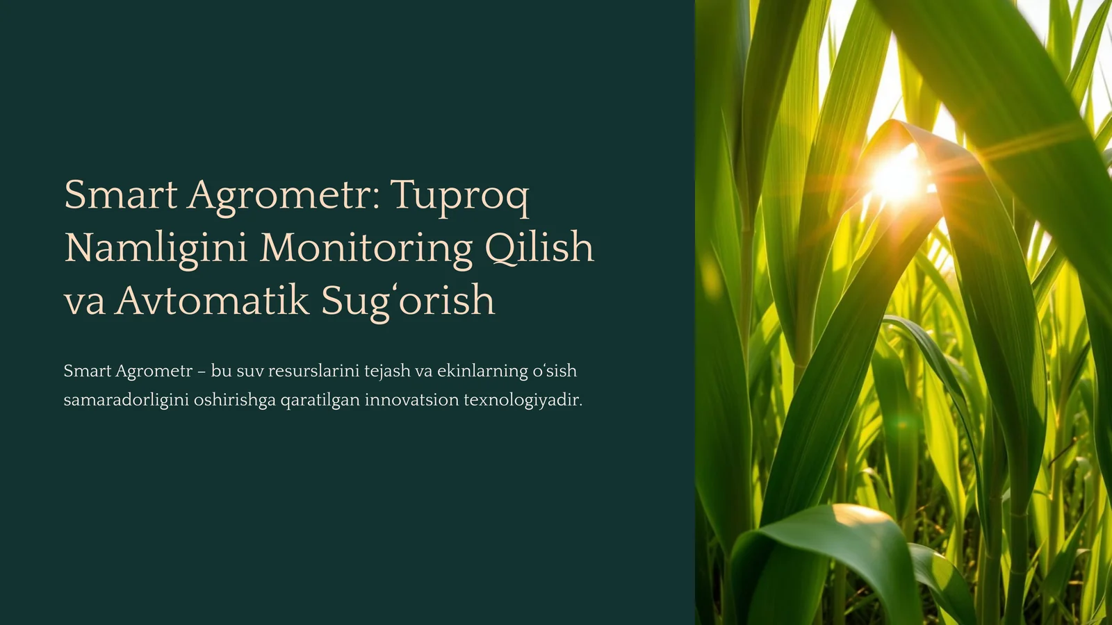 Smart Agrometr