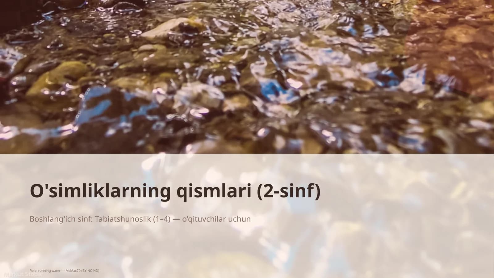 O'simliklarning qismlari (2-sinf)